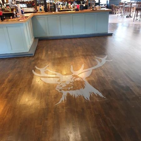The Roebuck Inn 南安普敦 外观 照片